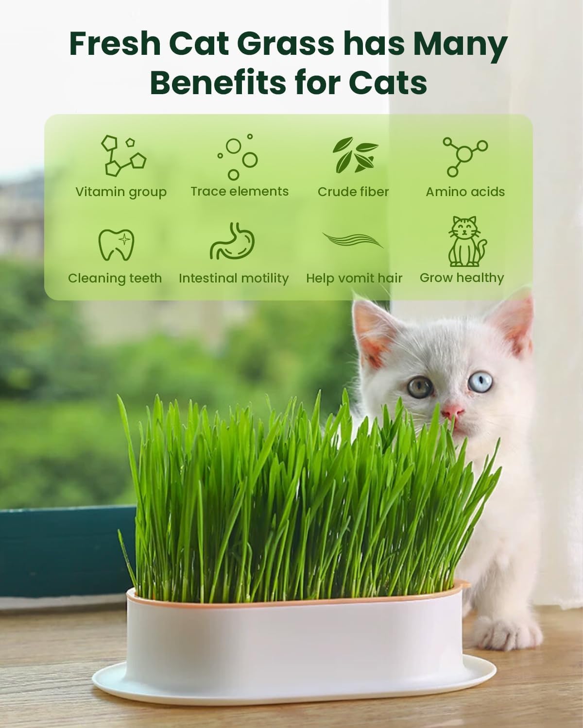 Cat Grass Growing Kit with Wheat Seeds, BPA-Free Planter & Soil, 3 Pack H53307