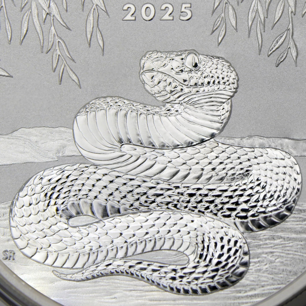 1 oz Silver Year of the Snake Coin A3176