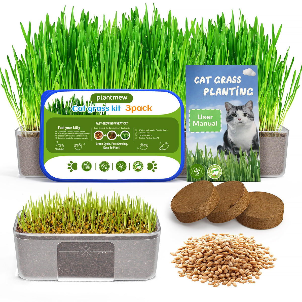 Cat Grass Growing Kit with Wheat Seeds, BPA-Free Planter & Soil, 3 Pack H53307